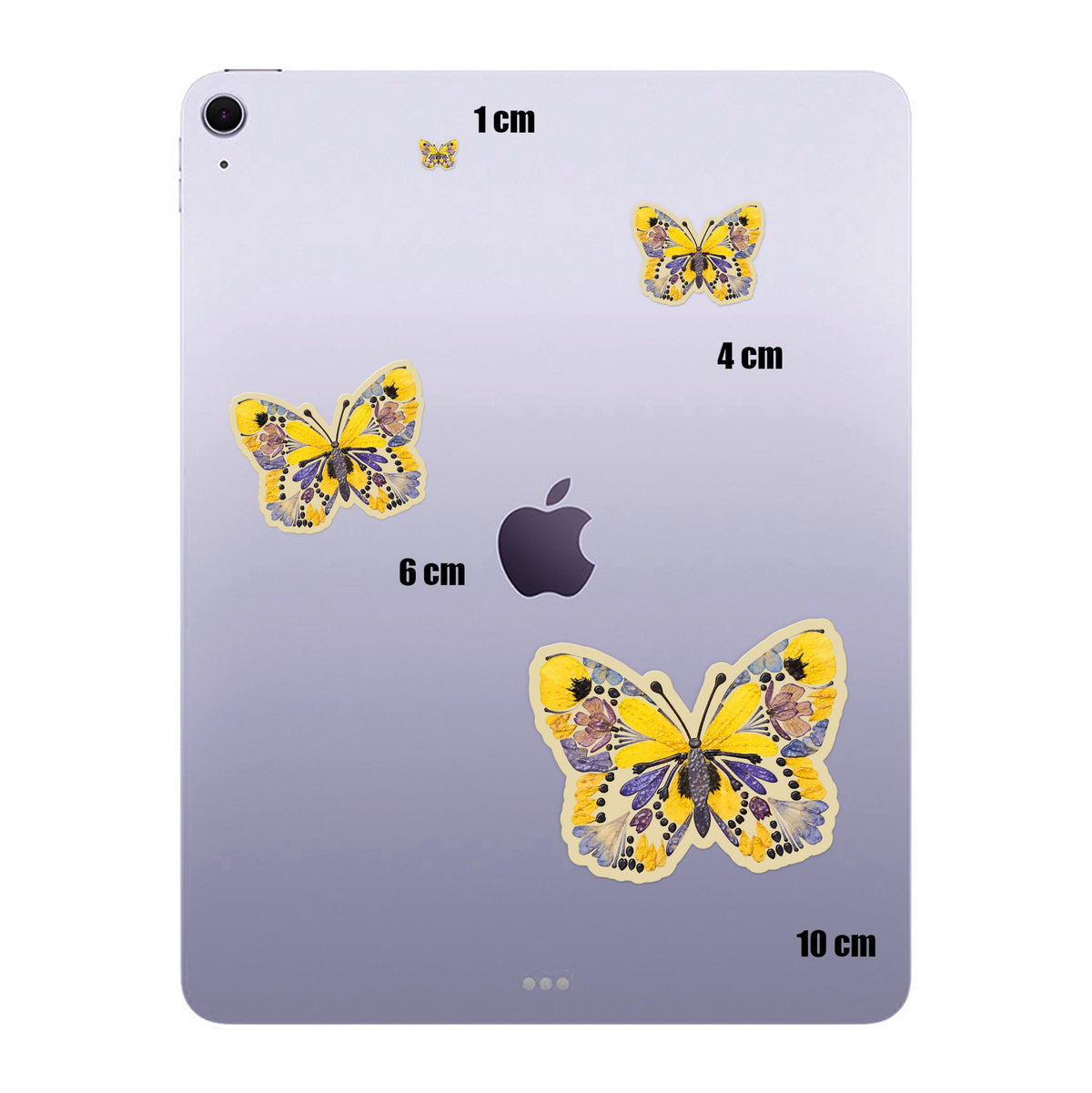 Pressed Petal Butterfly