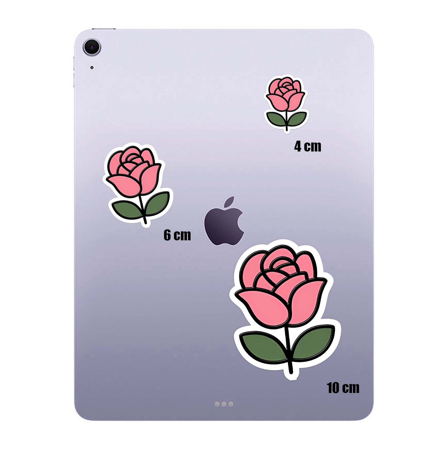 Rose Bloom