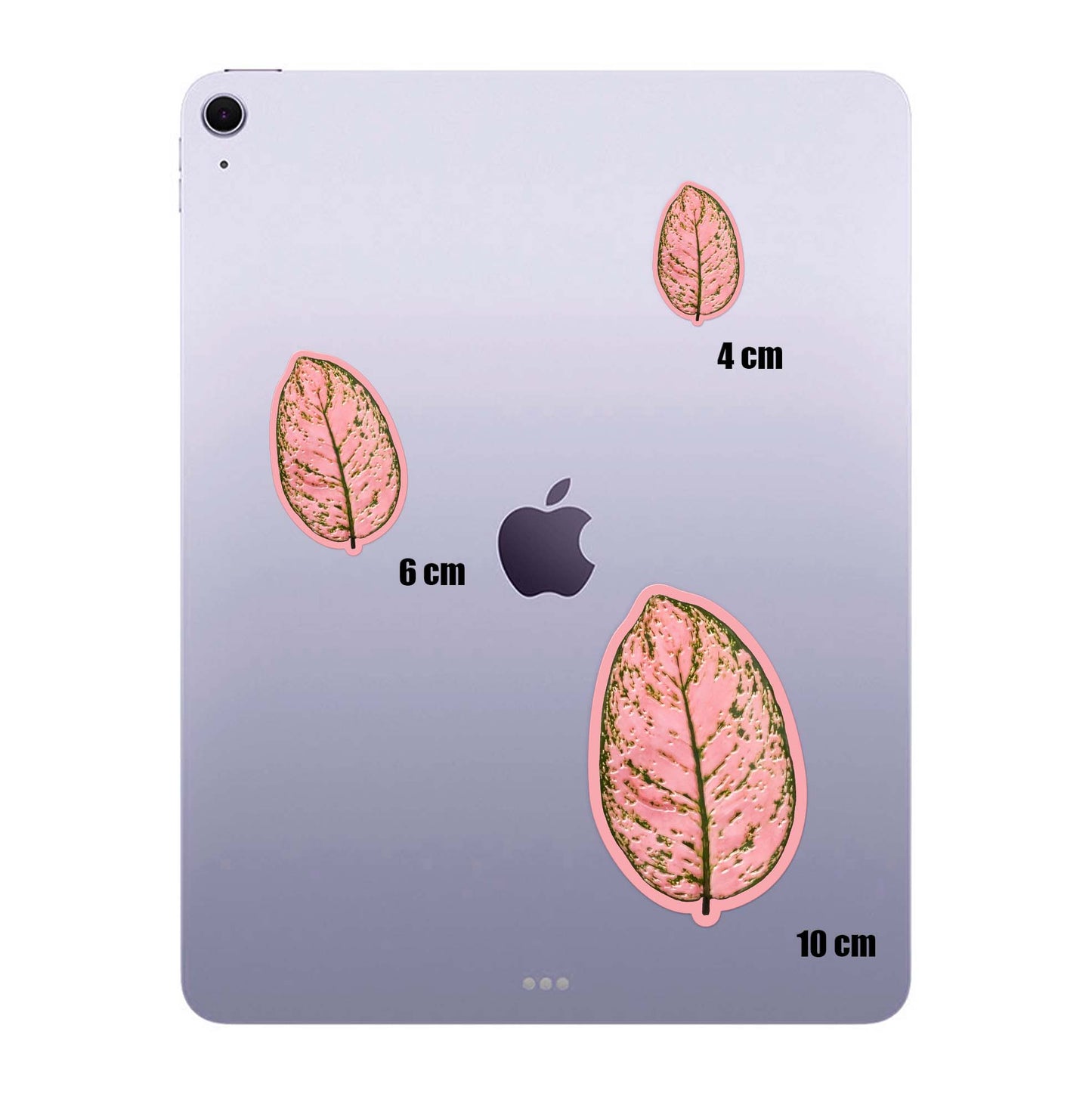Rose Green