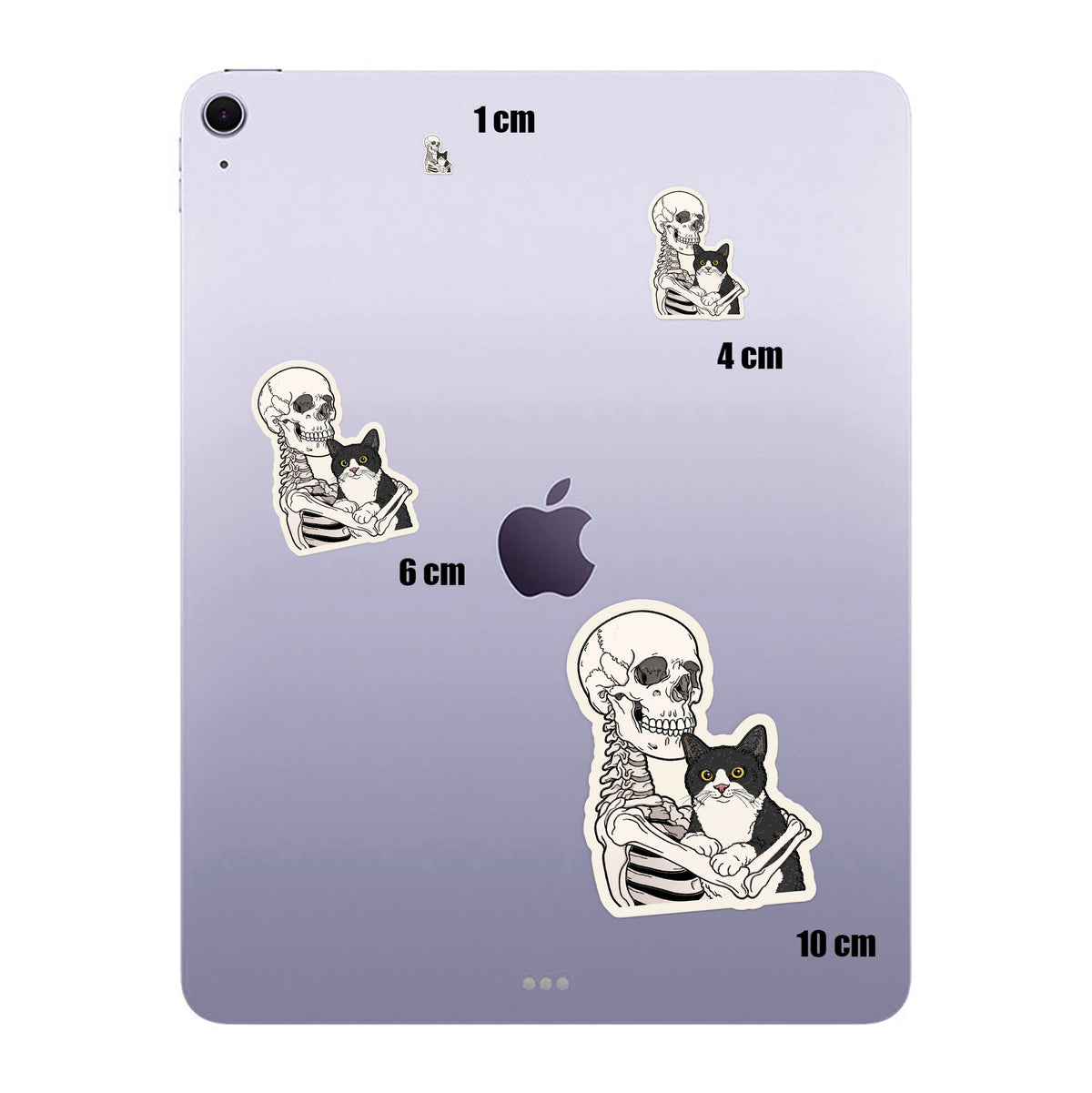 Skeleton Cat Cuddle