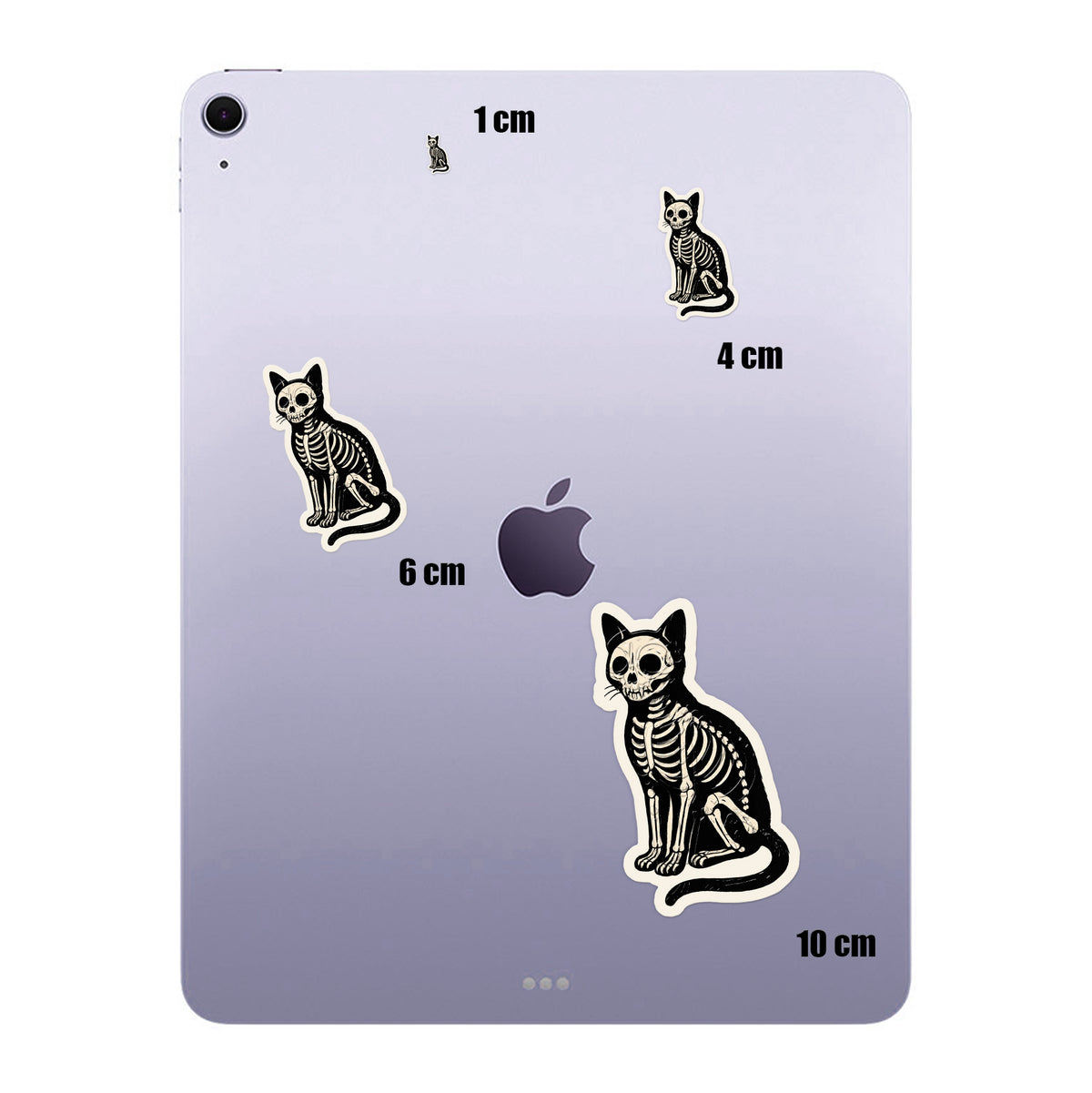Skeleton Cat Side