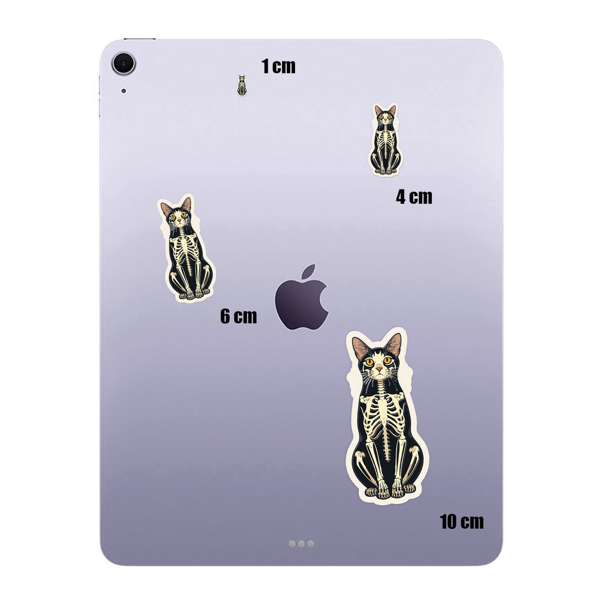 Skeleton Cat Sitting