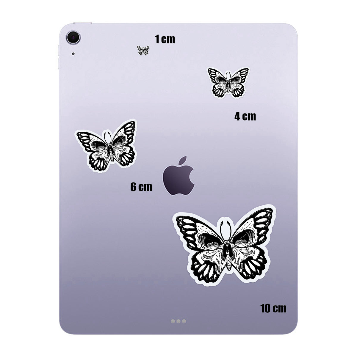 Skull Wing Butterfly