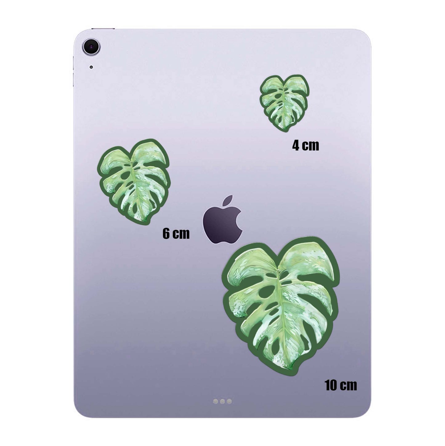 Split Leaf