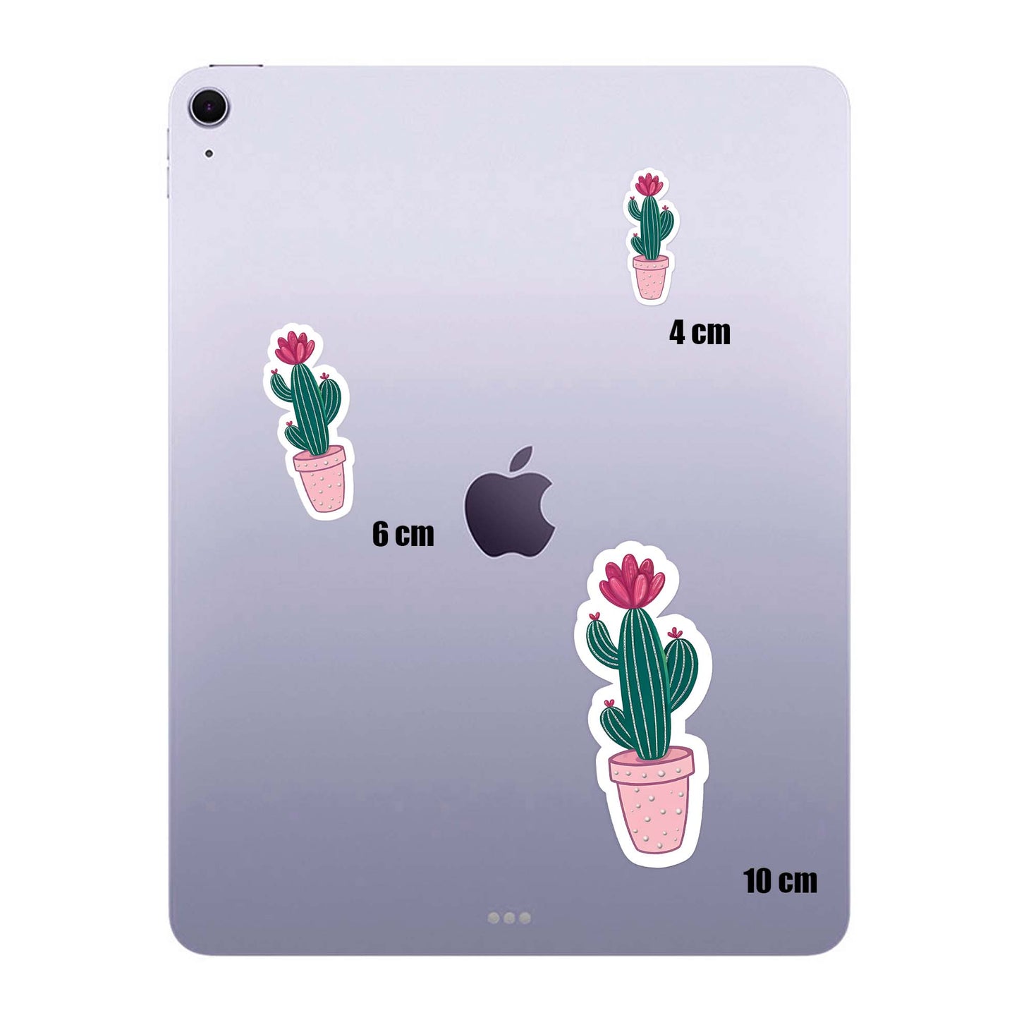 Twin Cactus