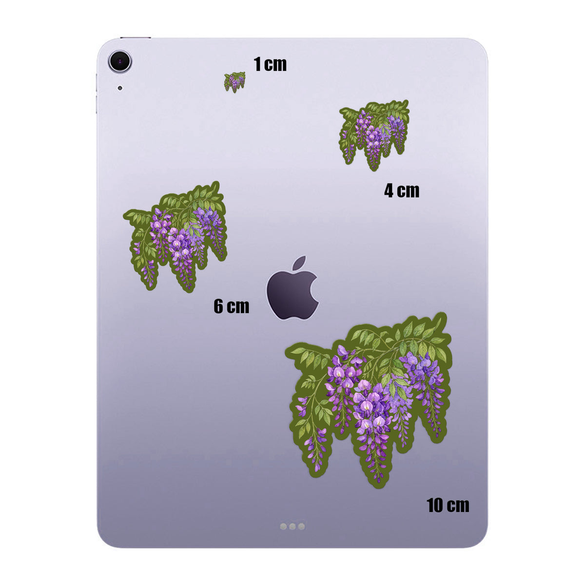 Wisteria Branch