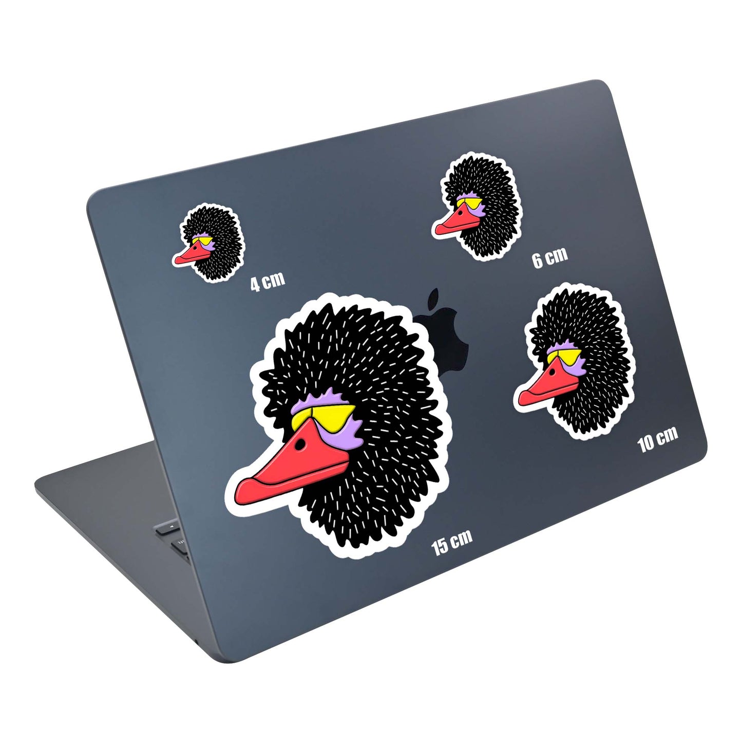 Black Duck