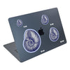 Blue Nautilus Shell