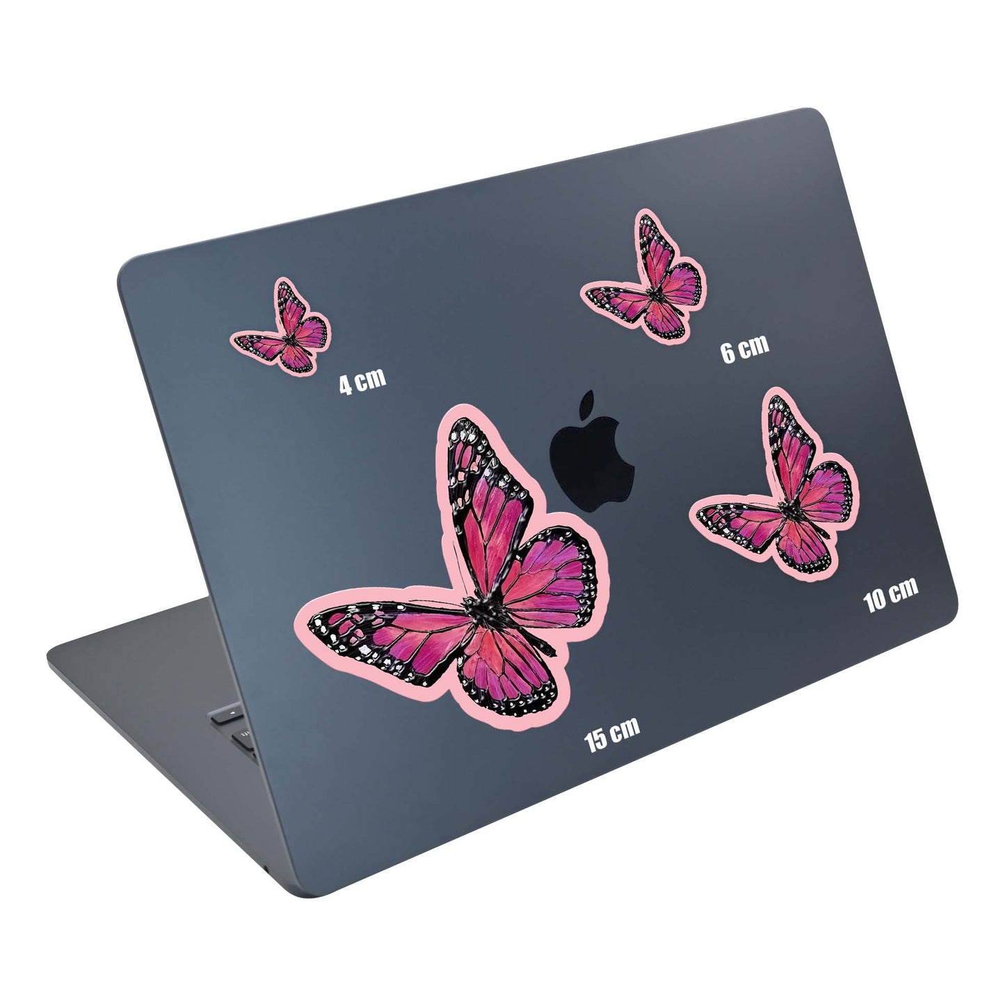 Blush Wings