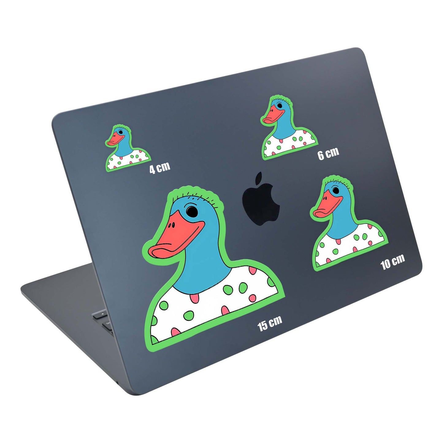 Cool Duck I