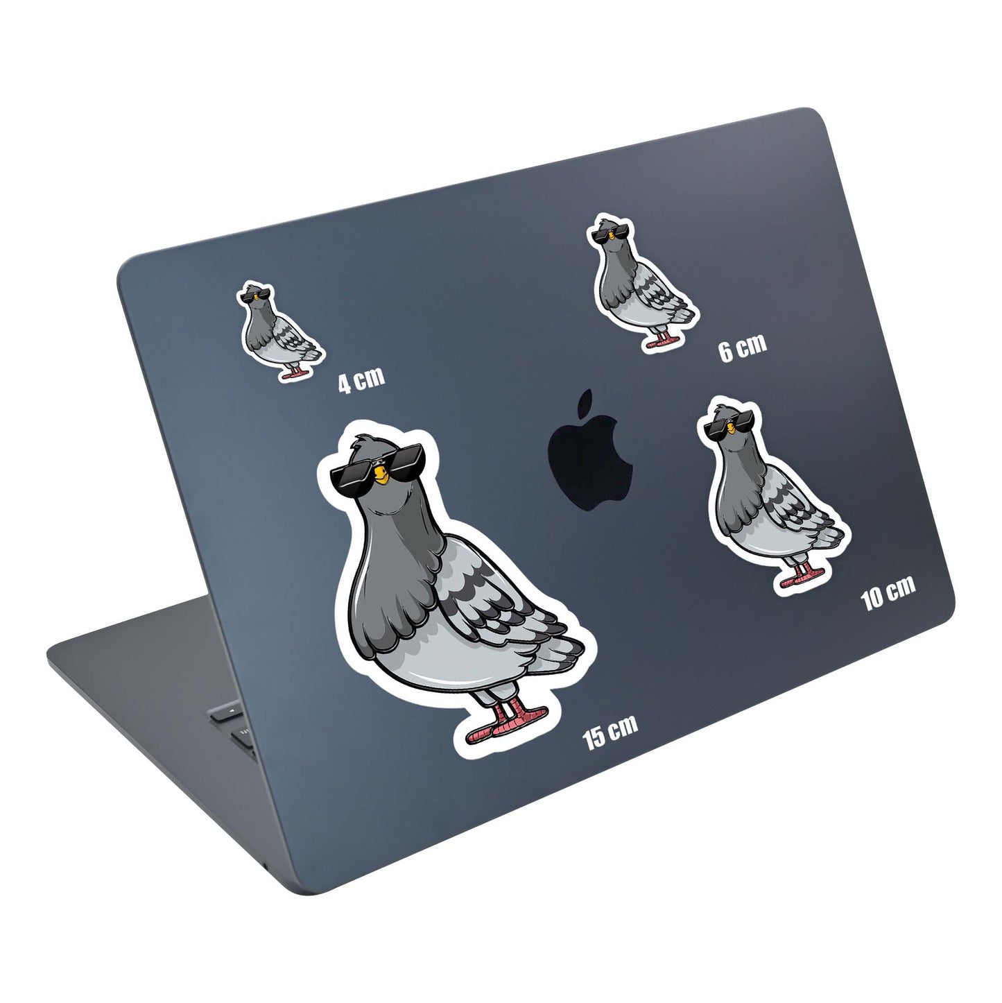 Cool Pigeon