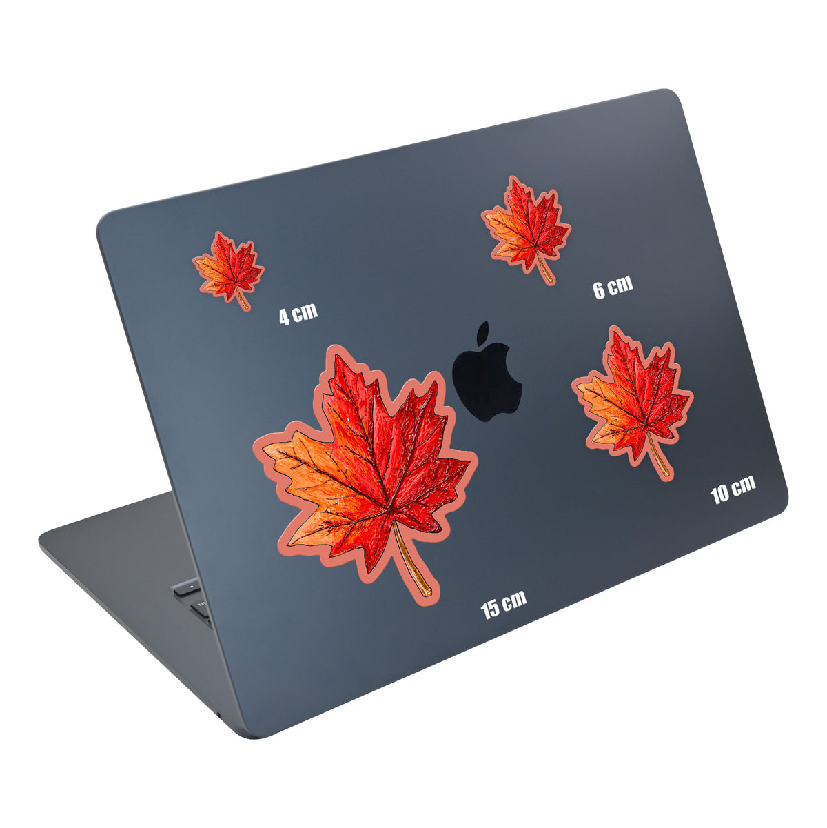 Crimson Maple Leaf