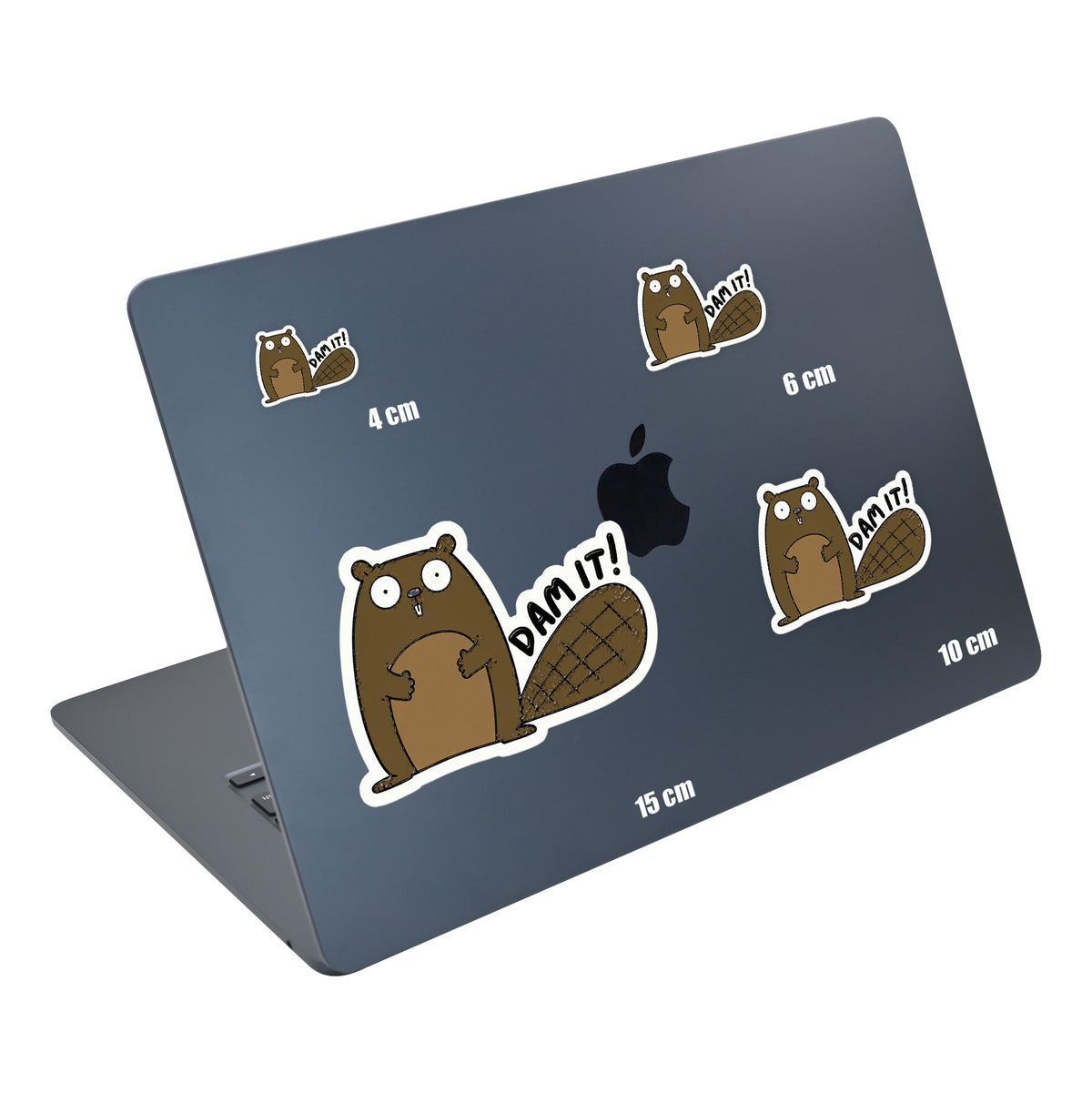 Dam It Beaver