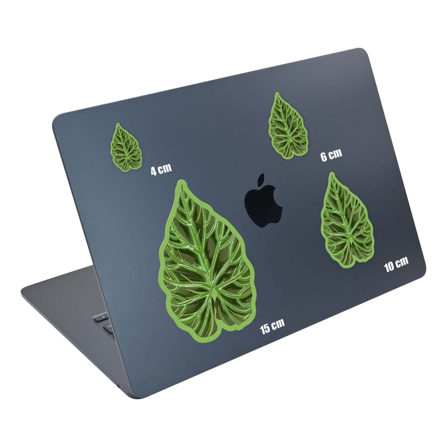 Fresh Leaf