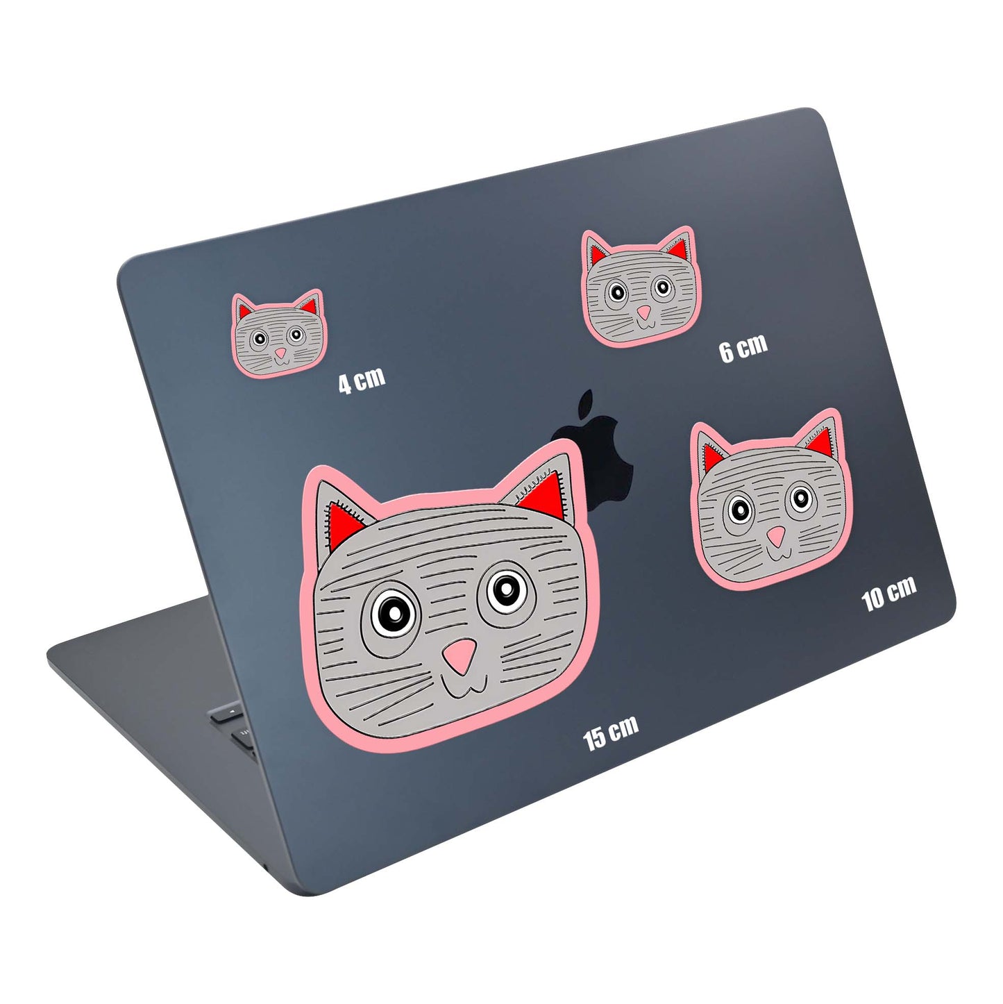 Grey Cat
