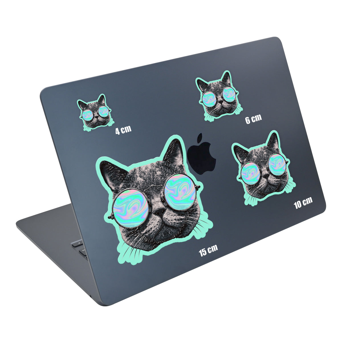 Holo Shades Cat