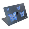 Indigo Butterfly