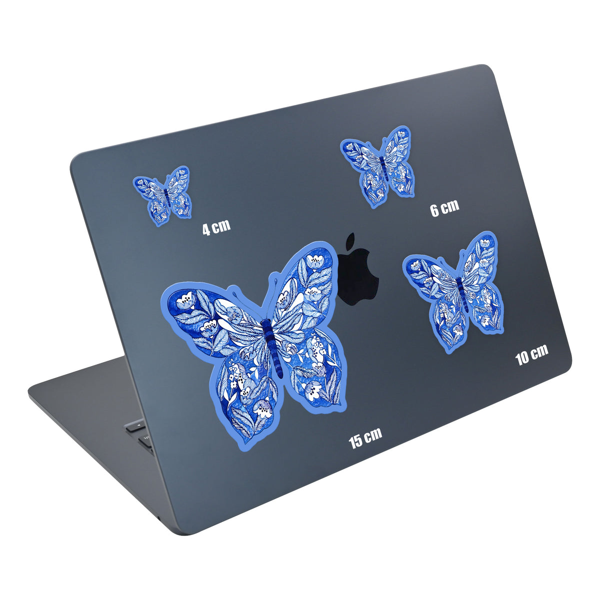 Indigo Butterfly