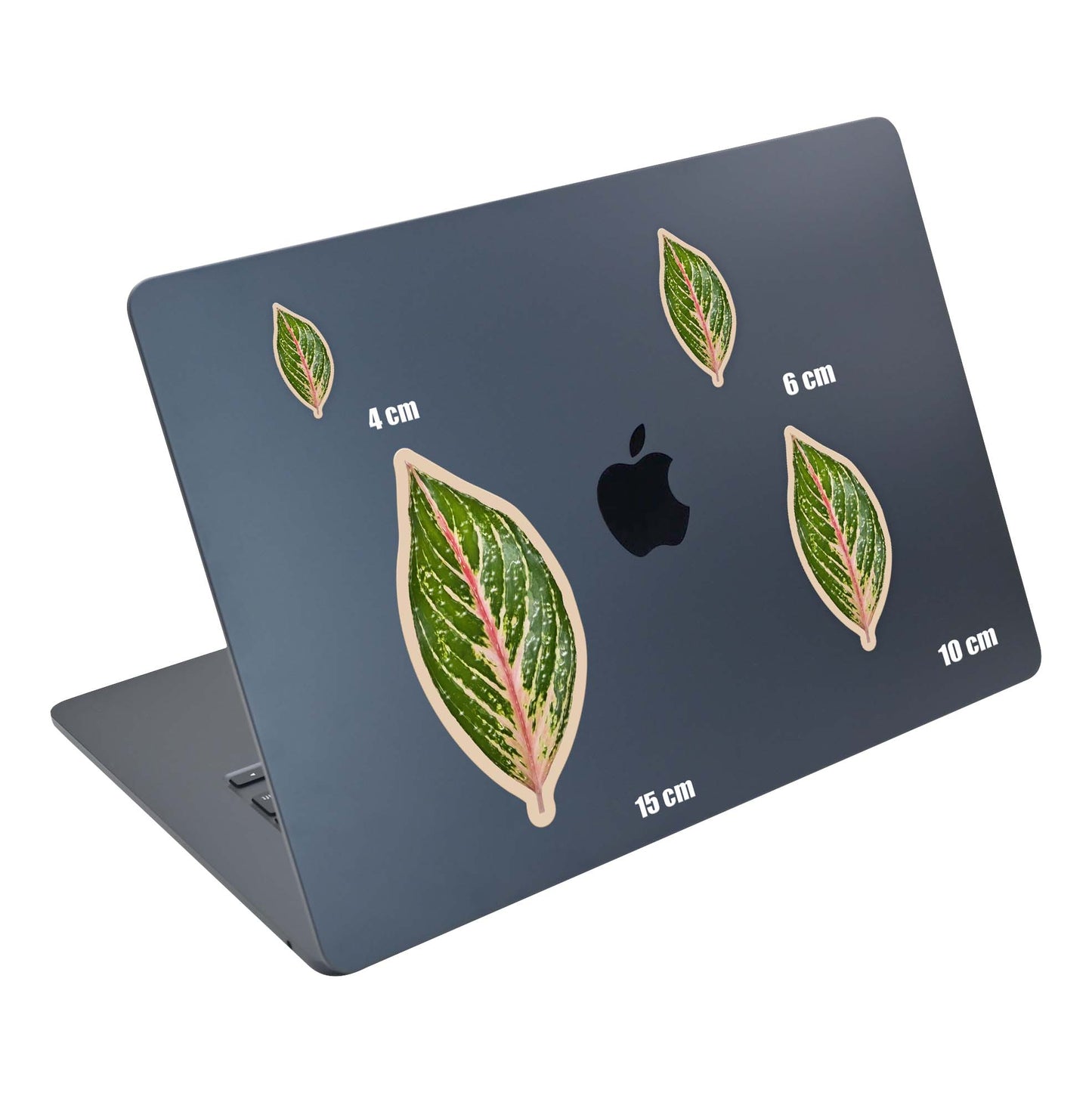 Jade Leaf I