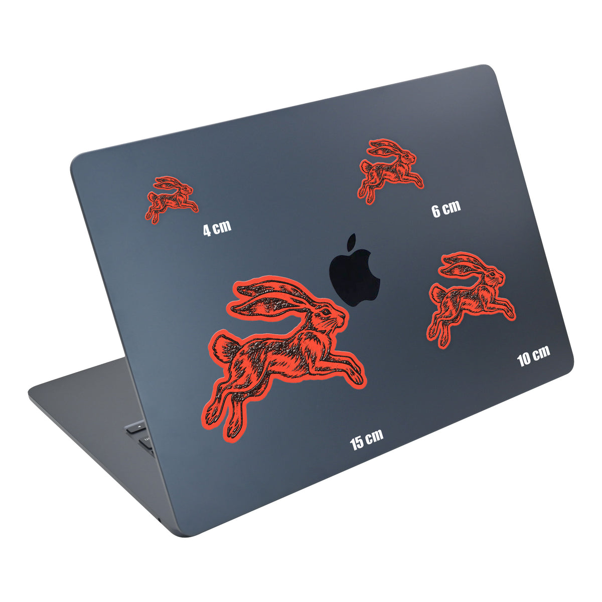 Leaping Hare