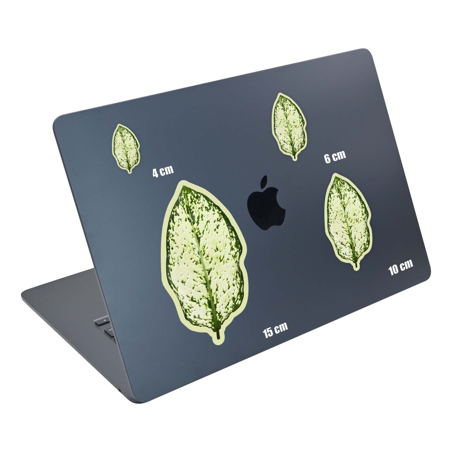 Moss Leaf
