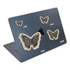Night Moth