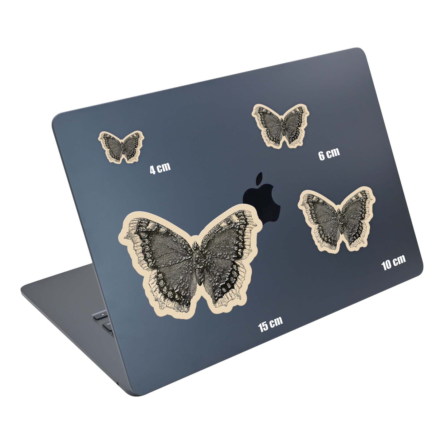 Night Moth