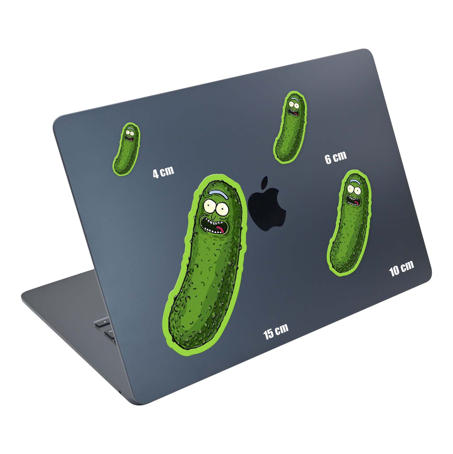 Pickle Rag