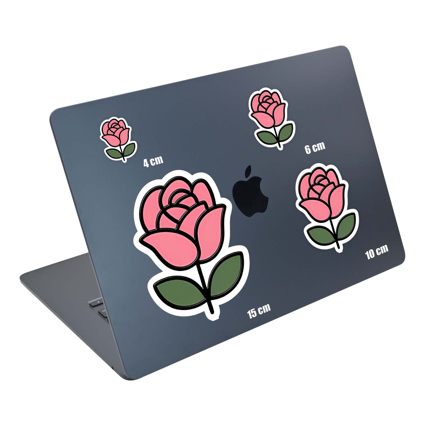 Rose Bloom