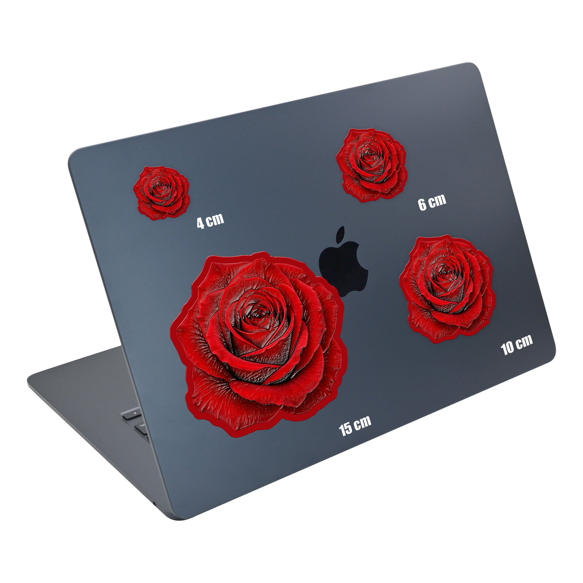 Velvet Red Rose