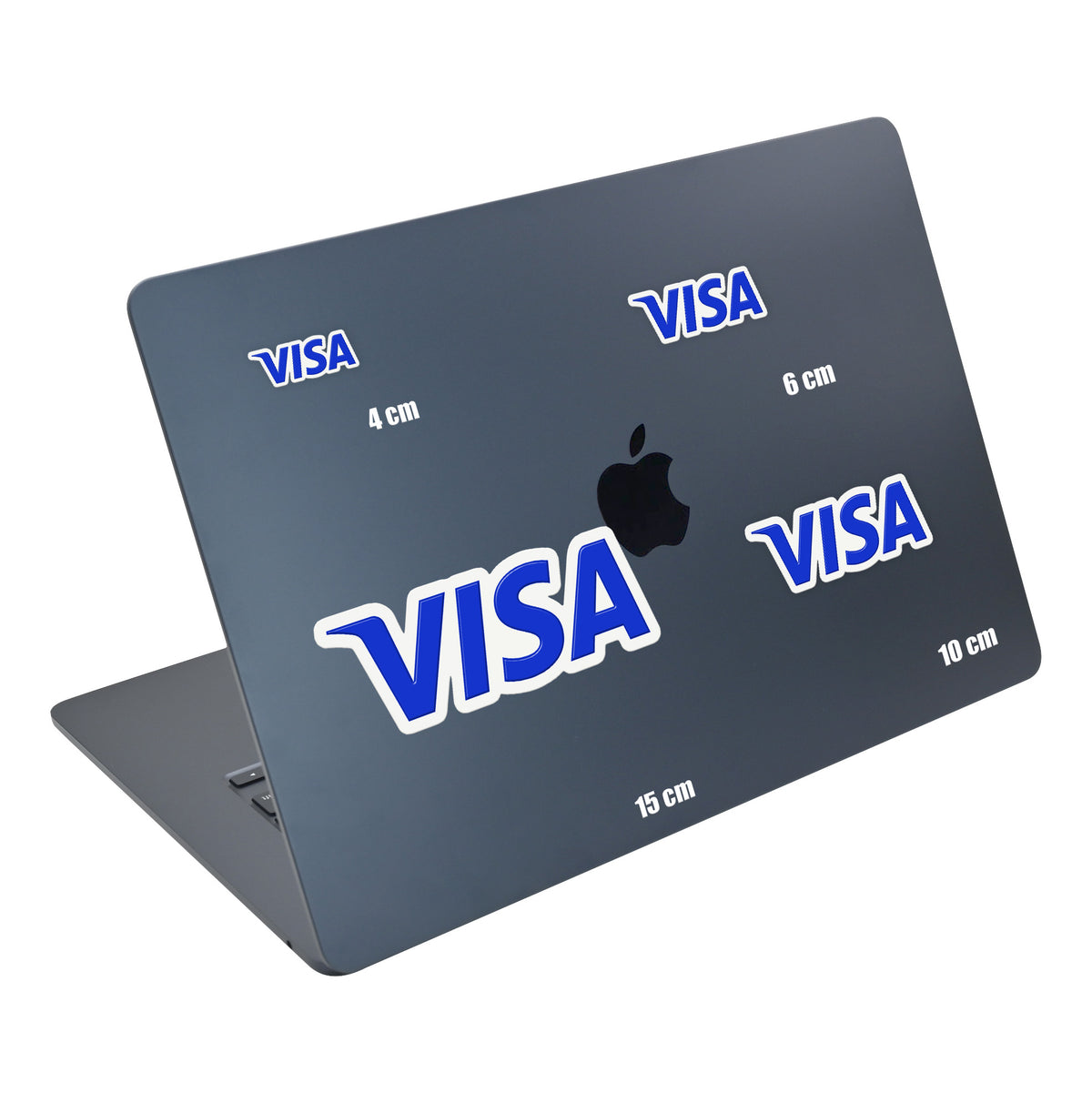 Visa Logo