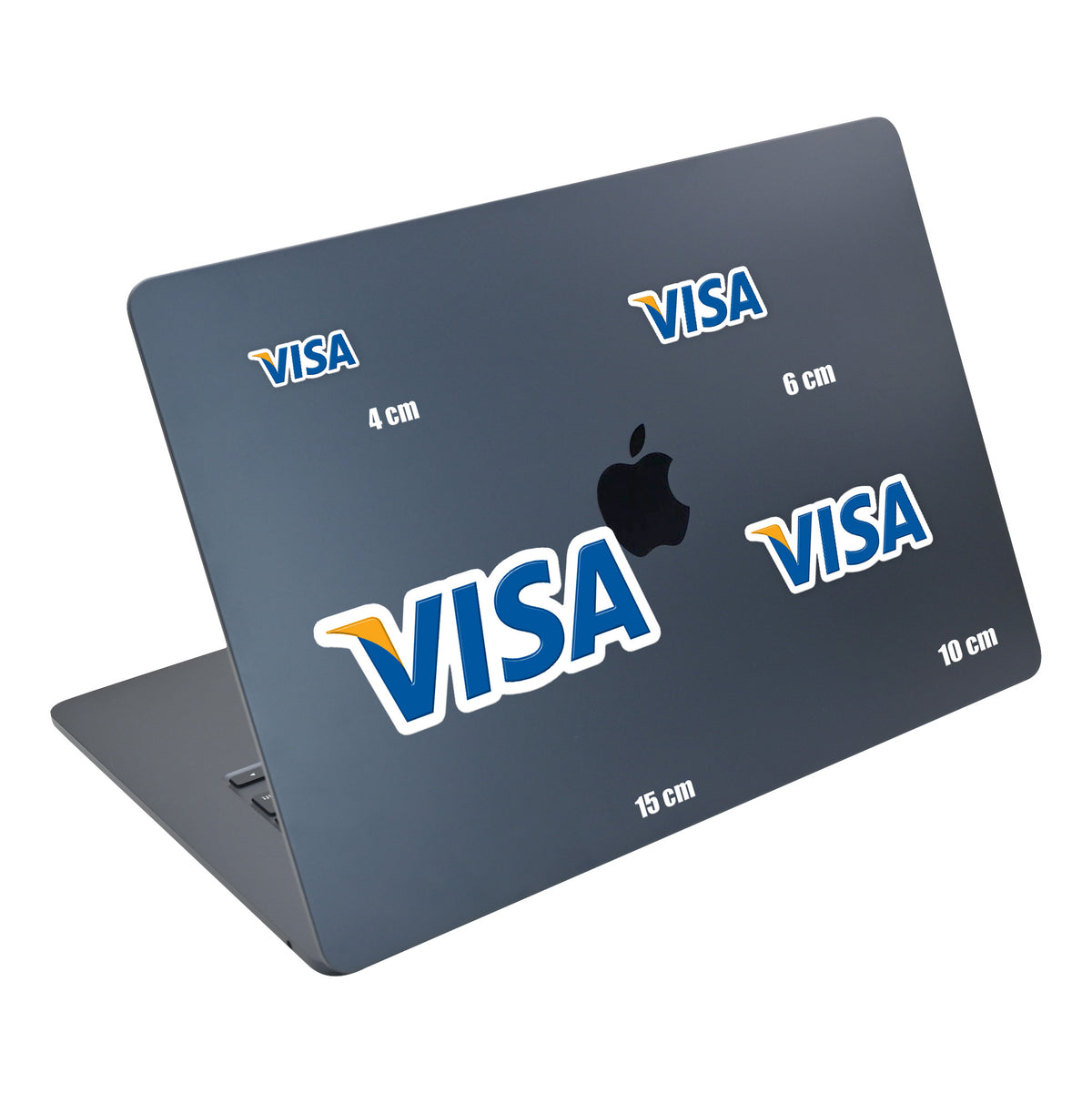 Visa Logo 2000s