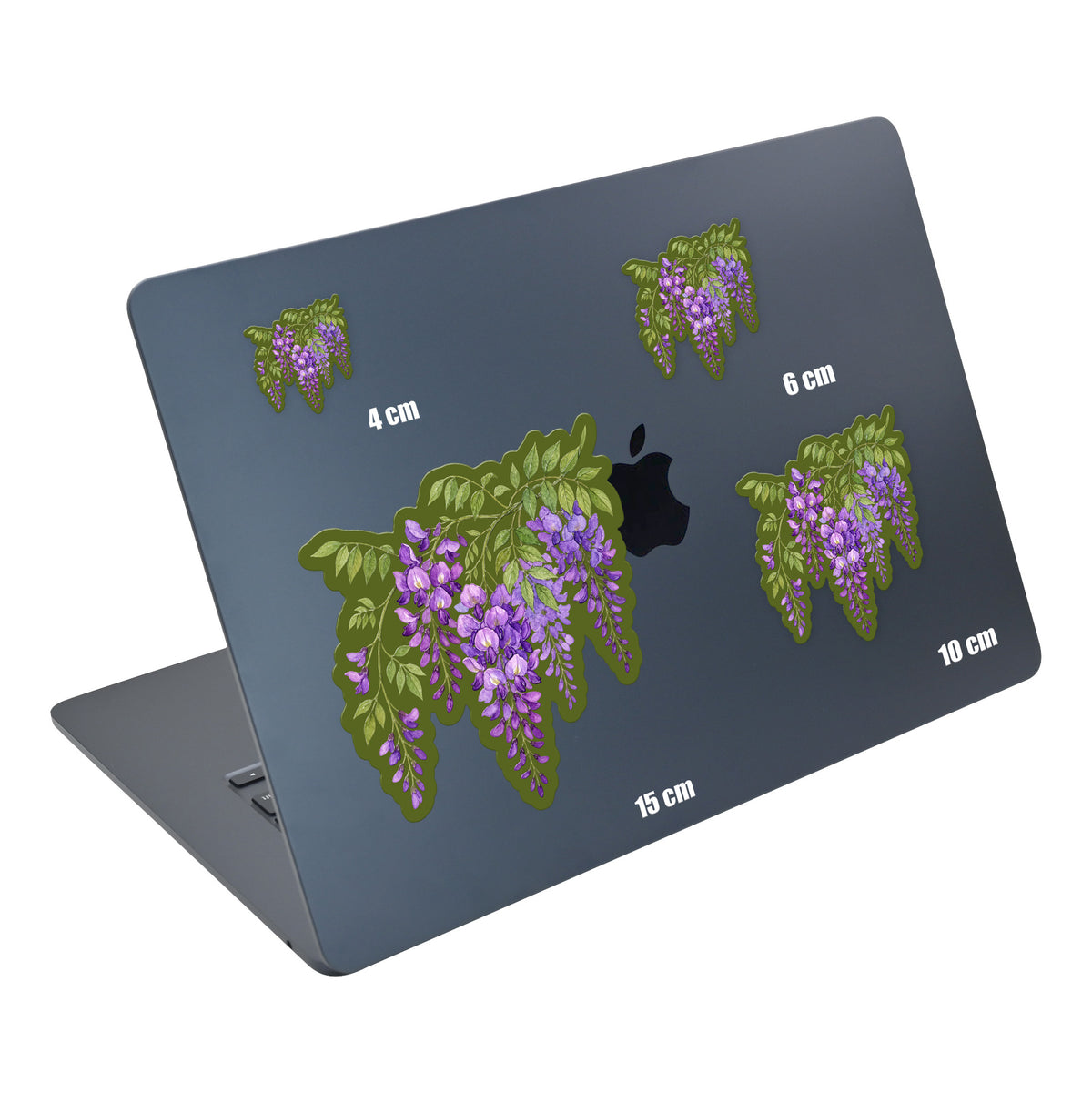 Wisteria Branch