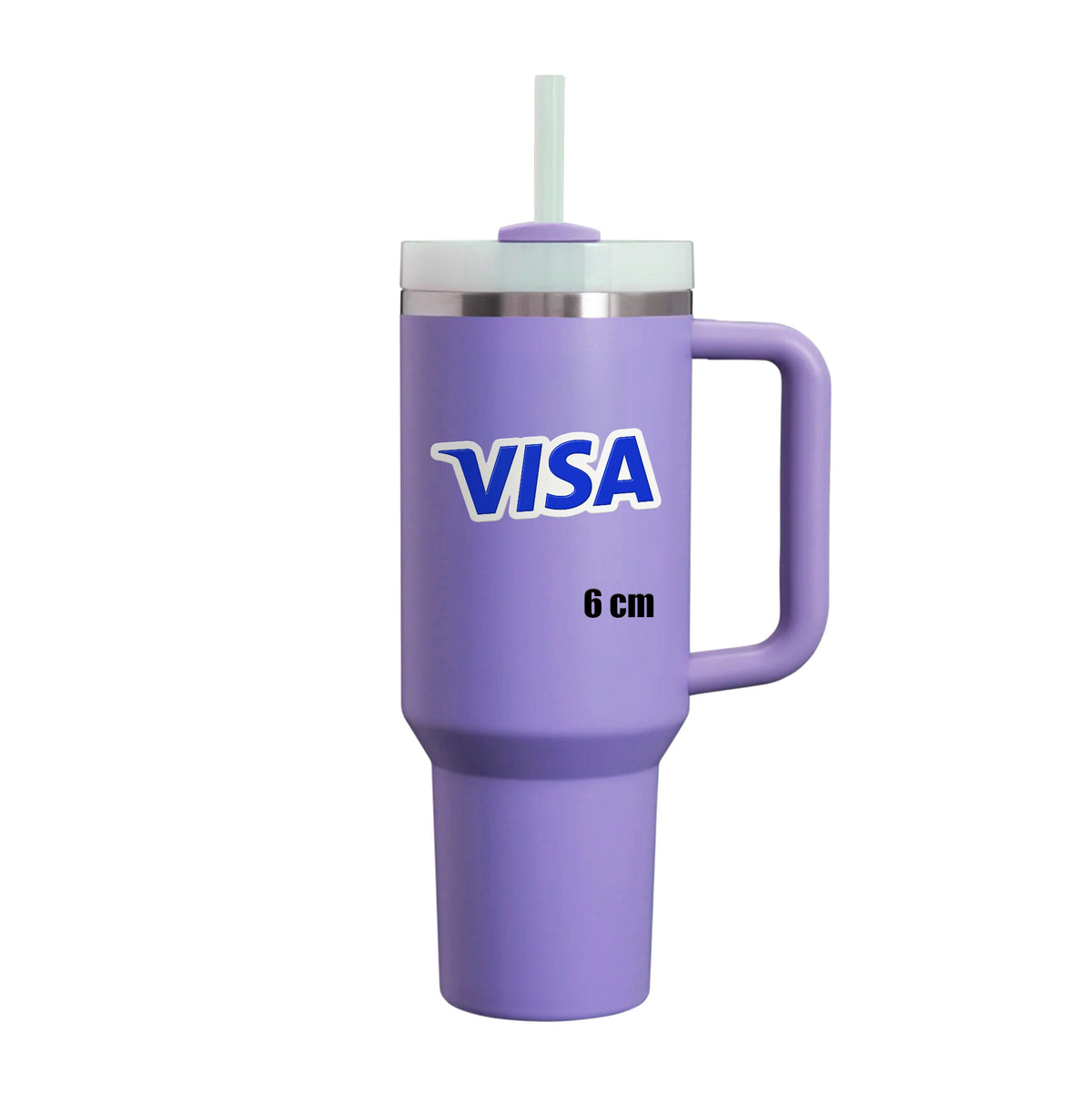 Visa Logo