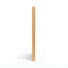 AF - Gremlins Poster