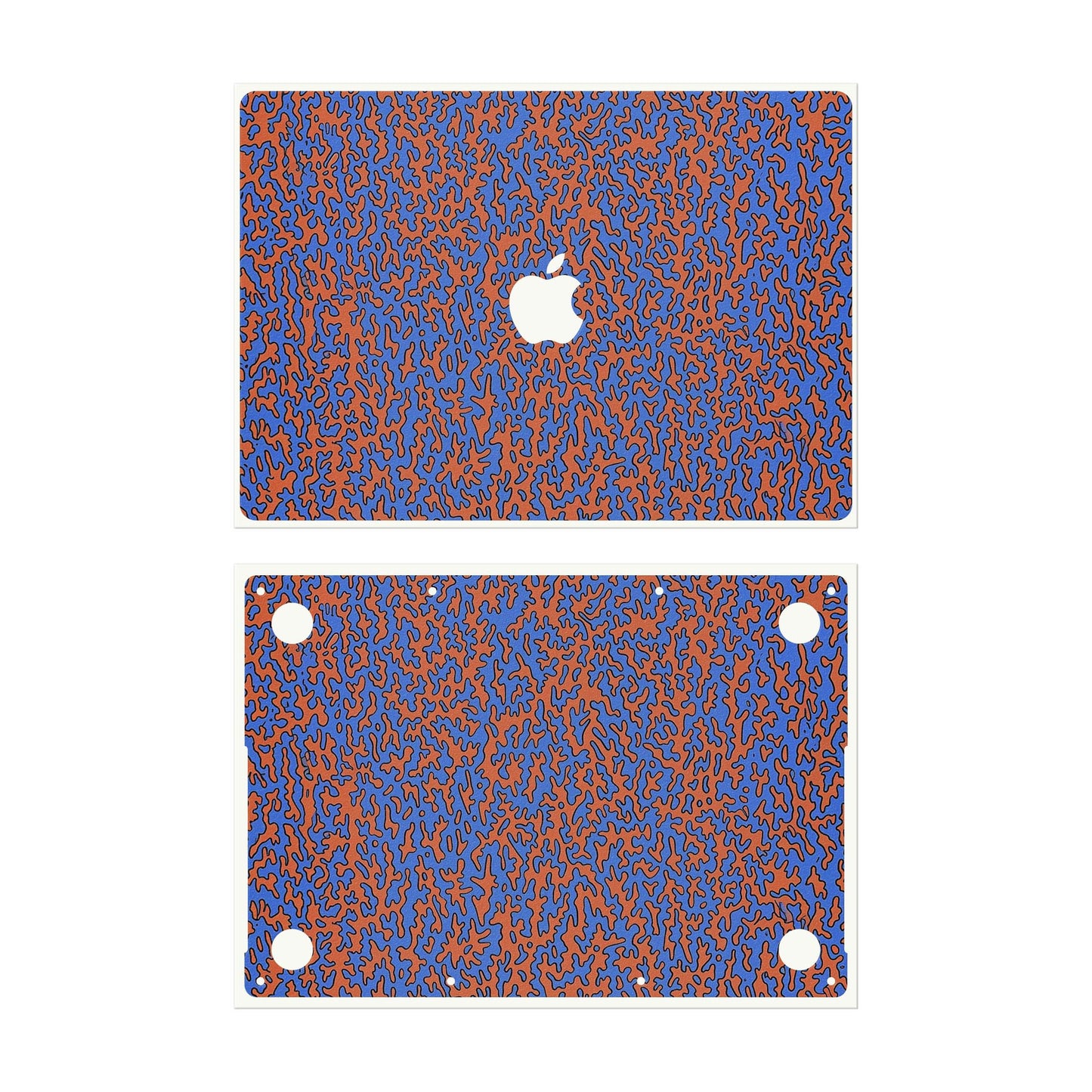 Looma - MacBook