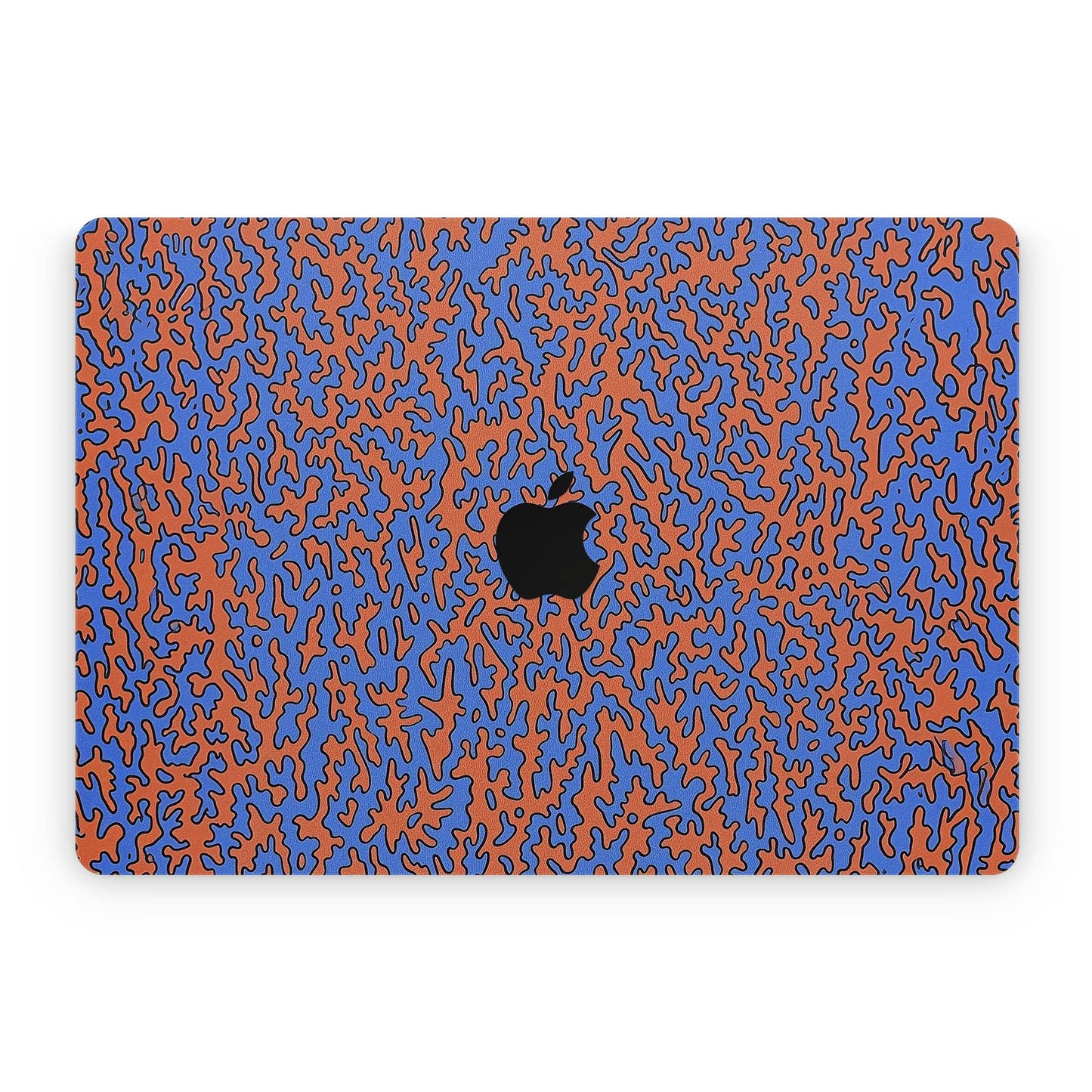 Looma - MacBook