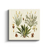 MC - Botanical Bulbs