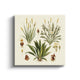 MC - Botanical Bulbs