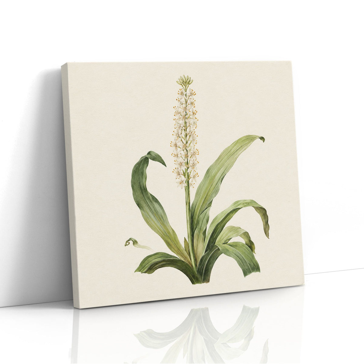 MC - Botanical Lily Spike