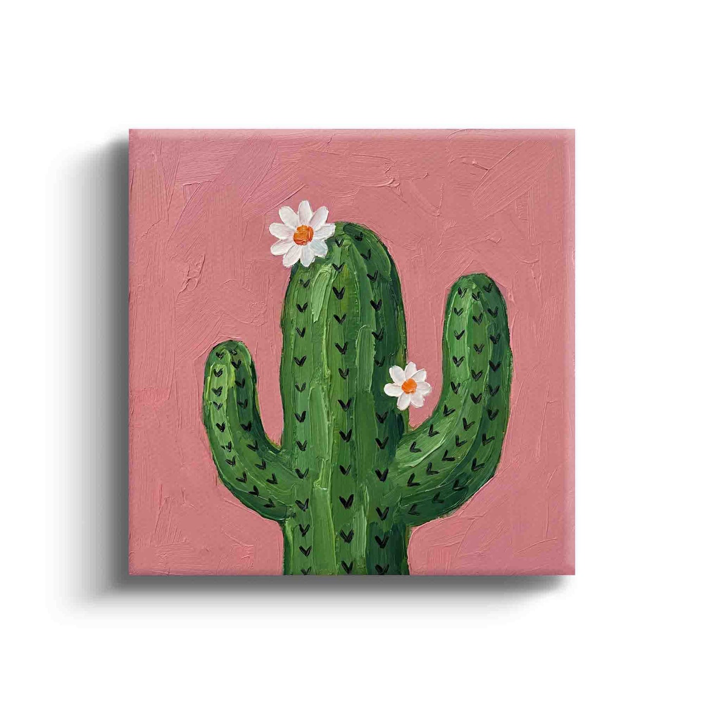 MC - Cactus