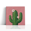 MC - Cactus
