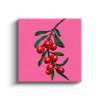 MC - Cherry Branch