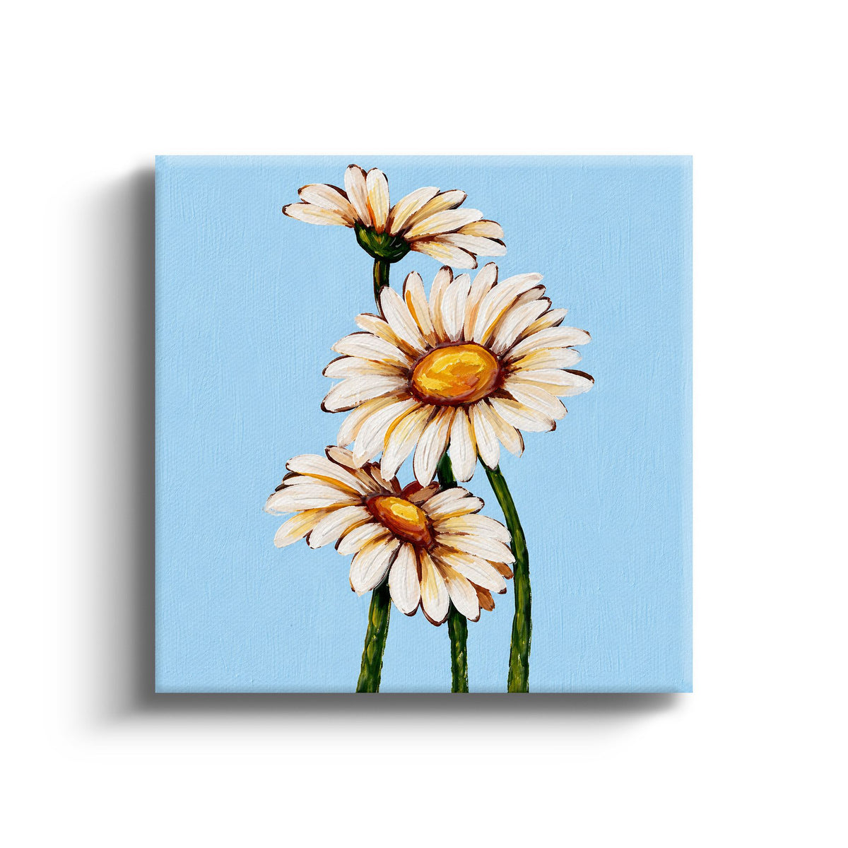 MC - Daisies