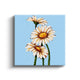 MC - Daisies