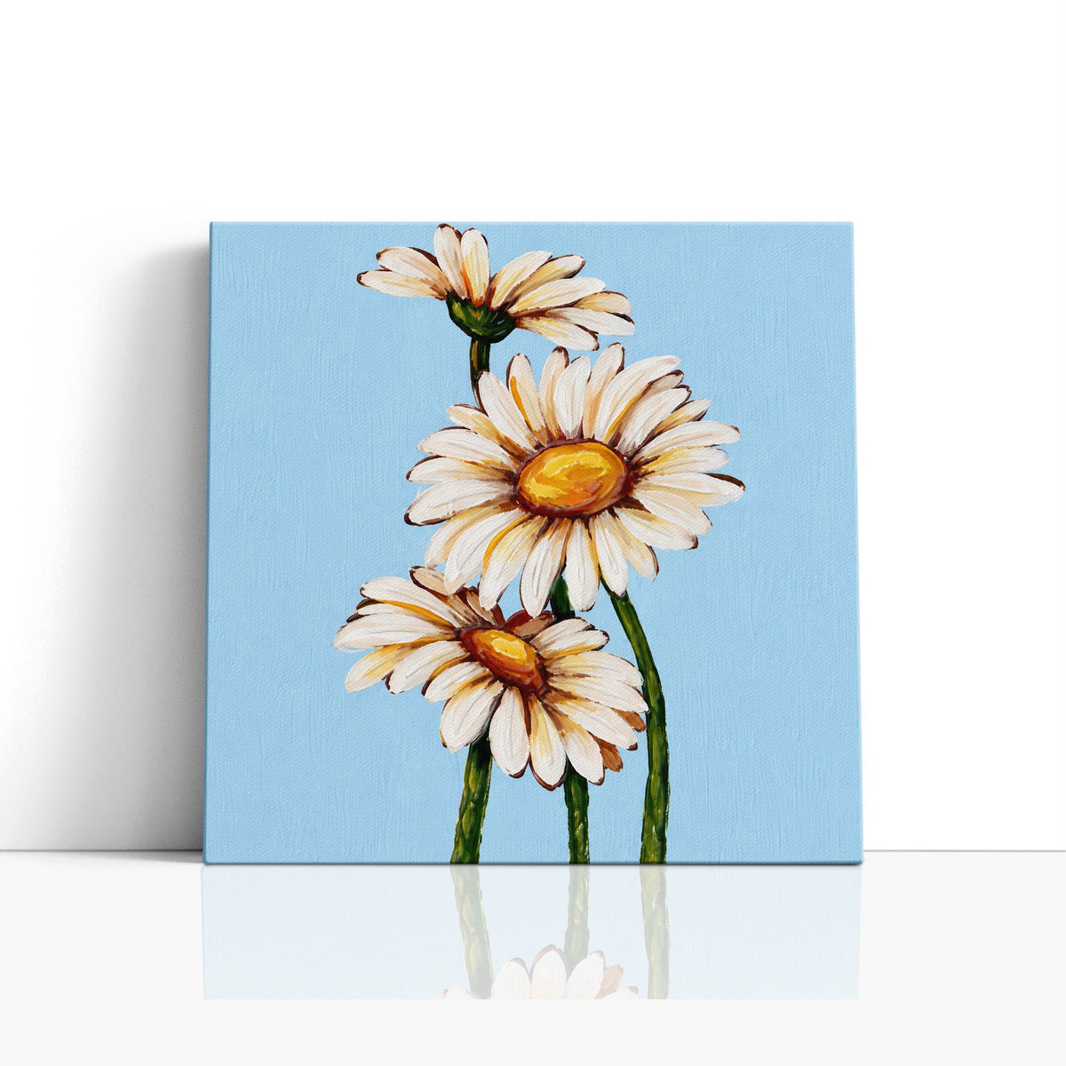 MC - Daisies