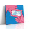 MC - Framing Sky