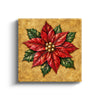 MC - Golden Poinsettia
