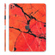 Pyra - iPad