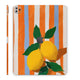 CitrusPop - iPad